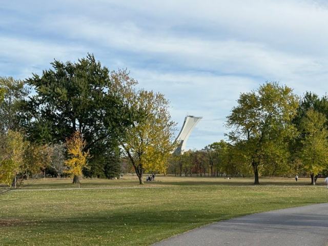 Artisanat amérindien québec : guide voyage Montréal