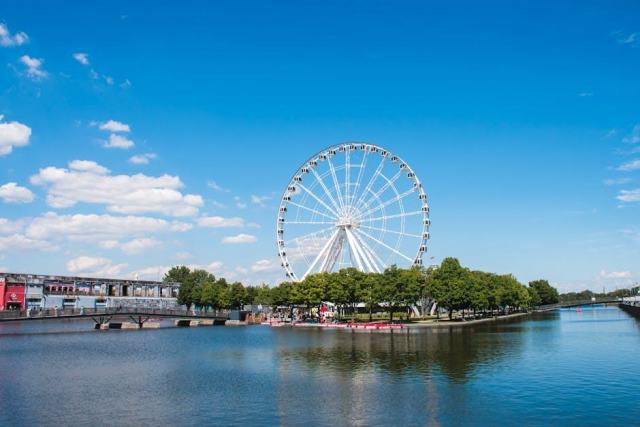 L'Insectarium de Montreal : le monde fascinant des insectes