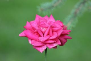 Passeport MTL : visiter les attractions de Montreal a prix reduit