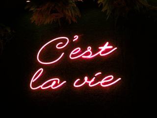 Blog Montréal : articles et guides sur la métropole québécoise