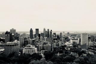 Circuit Gilles-Villeneuve à Montréal : le temple de la Formule 1